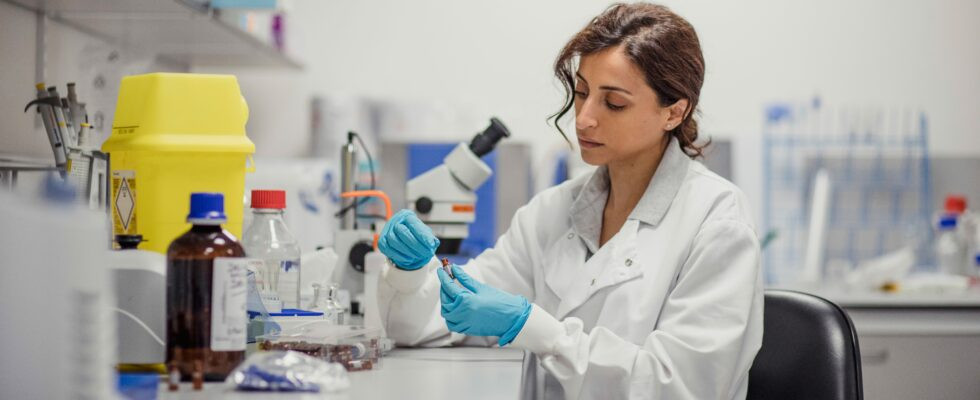 Von Nobelpreisen bis hin zur Entwicklung von Impfstoffen ist das 980x400