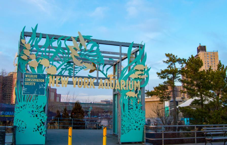 Acuario de Nueva York reabre a plena capacidad por primera vez en una
