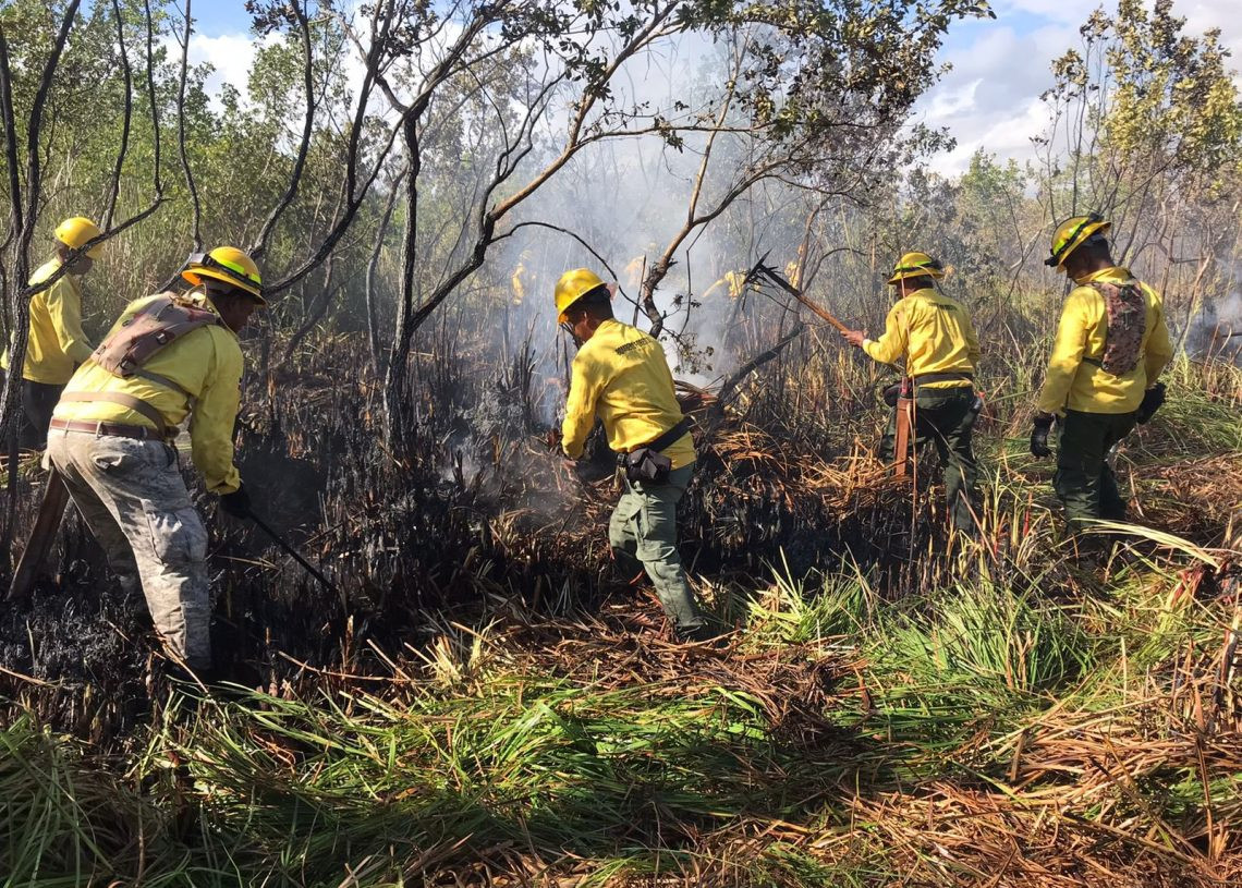 Incendio Cap Cana 1140x815