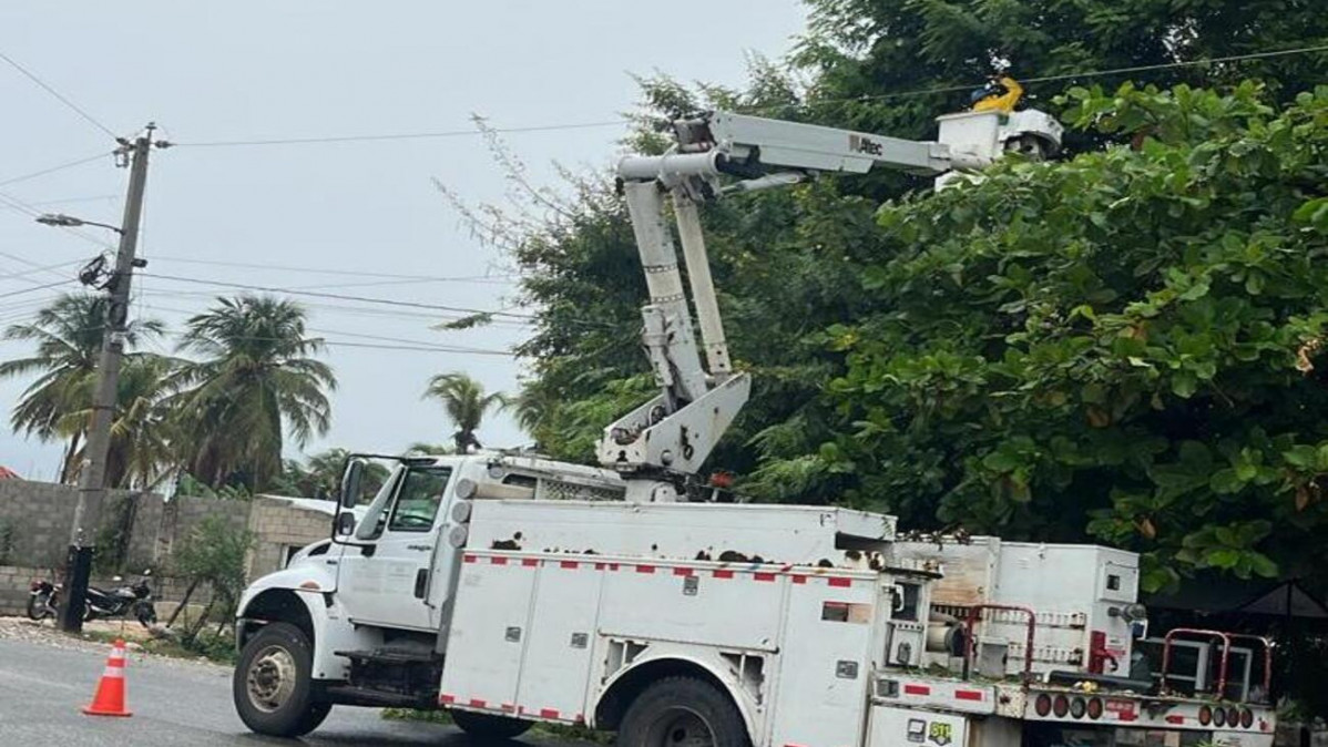 Brigadas trabajando 1