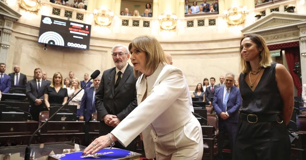 Patricia bullrich dimite al ministerio de seguridad en argentina asumira como senadora 76061f59 b58b 4001 95db 4557df7207c1 medialjnredespreviewcrop