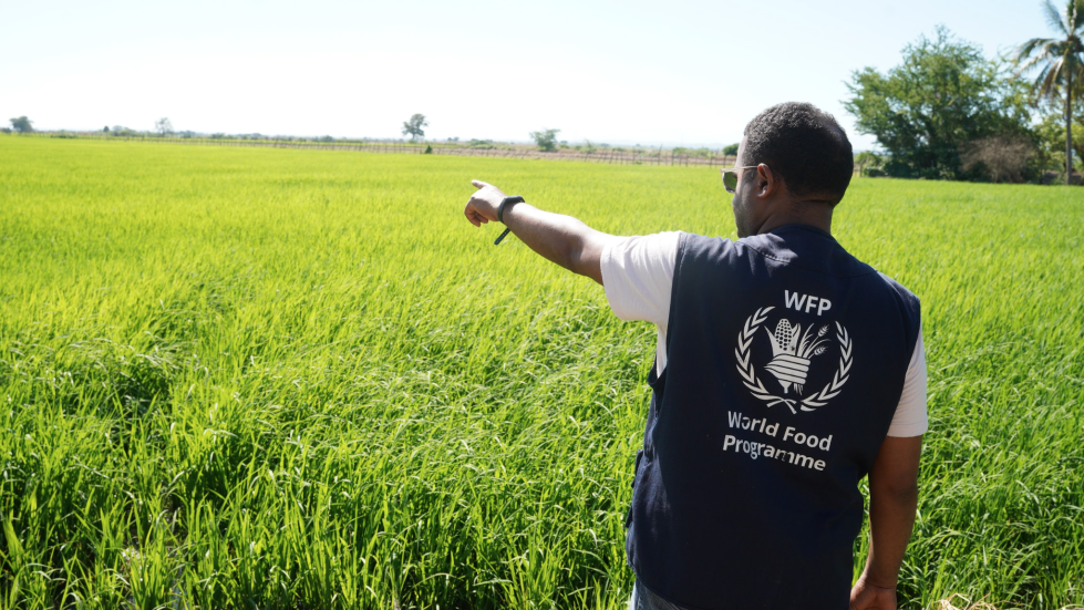 WFP2