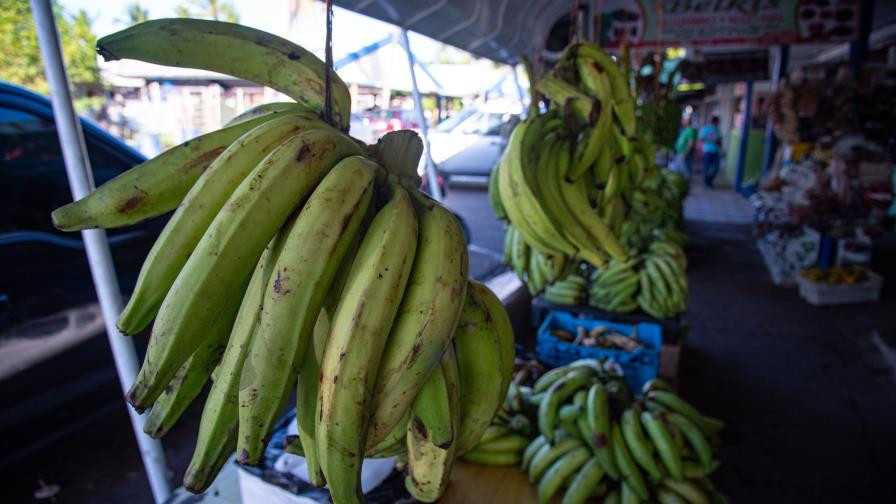 Republica dominicana ultimas cifras de inflacion y economia focus 0 0 896 504